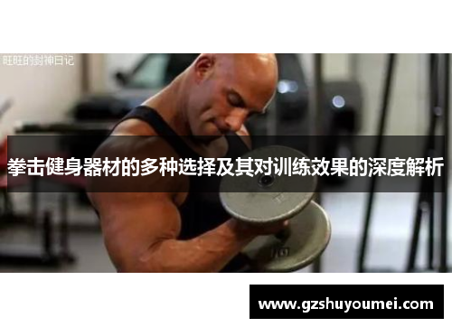 拳击健身器材的多种选择及其对训练效果的深度解析