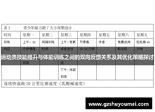 运动员技能提升与体能训练之间的双向反馈关系及其优化策略探讨
