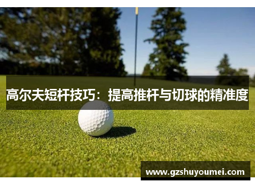 高尔夫短杆技巧：提高推杆与切球的精准度