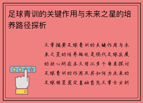 足球青训的关键作用与未来之星的培养路径探析