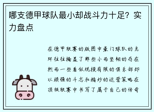 哪支德甲球队最小却战斗力十足？实力盘点