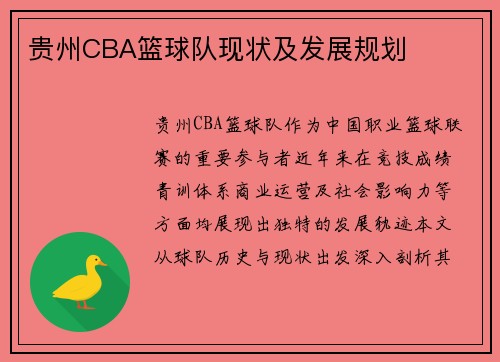 贵州CBA篮球队现状及发展规划