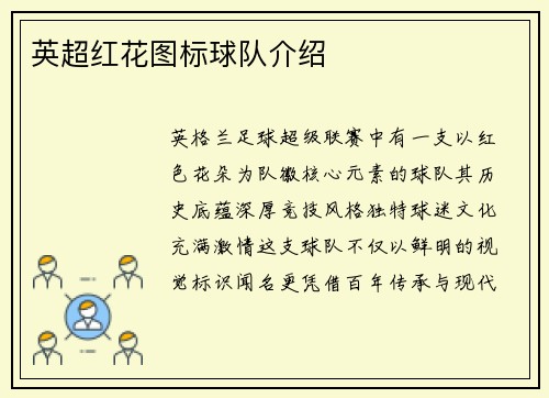 英超红花图标球队介绍